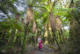 New Zealand 2025 (1 group) (5/66)